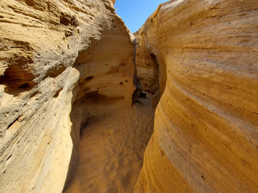 Agadir: Timlaline Desert and Paradise Valley with Camel Ride - Tamri lunch with tea and tahini: why this is more than just fuel