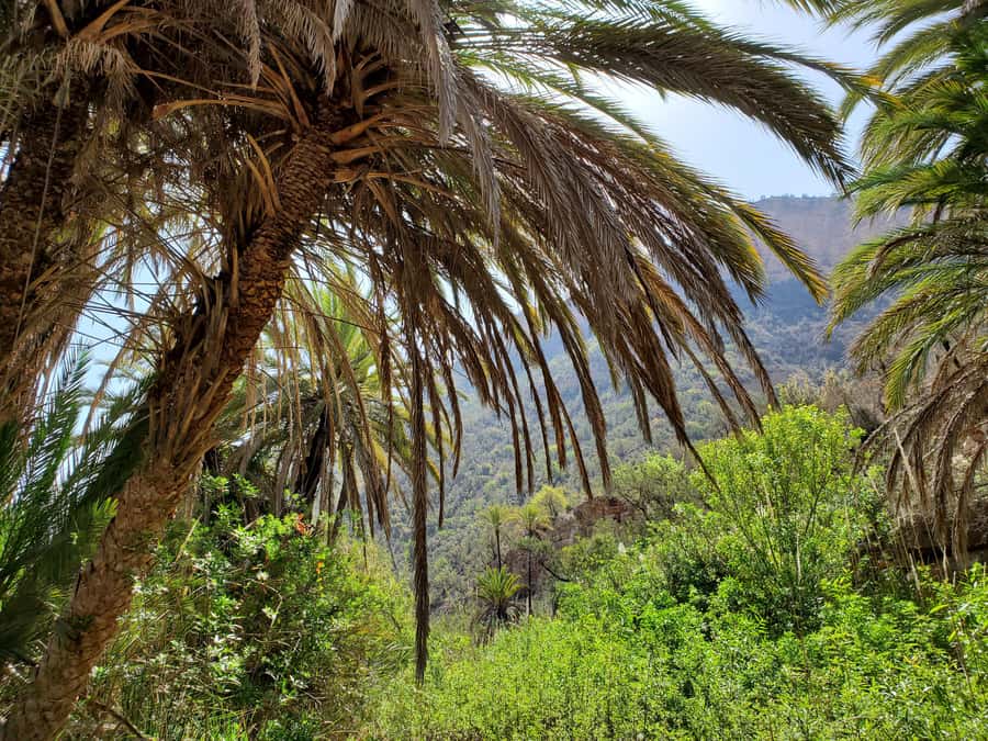 Agadir: Timlaline Desert and Paradise Valley with Camel Ride - Paradise Valley: photos, a short hike, and that steep climb back