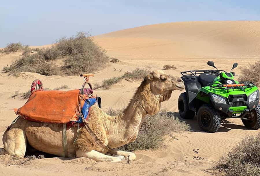 Agadir to Tifnit Desert: Quad Biking Tour with Sandboarding - Safety, Guides, and the Real Pace of the Day