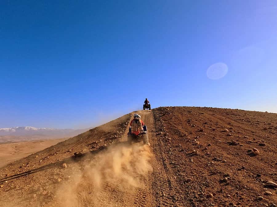 Agafay and atlas: Quad and camel experience - Camel ride and tea break: the slower Morocco moment