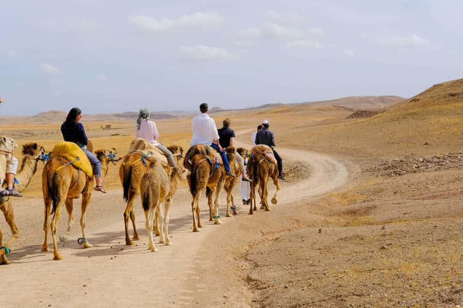 Agafay and atlas: Quad and camel experience - Atlas Mountains views: why the setting matters in the desert near Marrakech