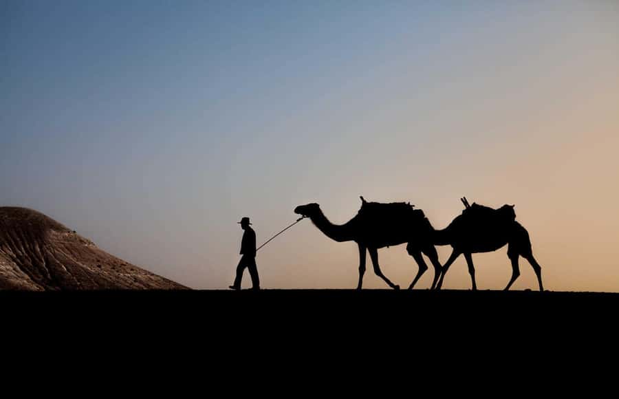 Agafay and atlas: Quad and camel experience - Value check: is $28 a good deal, and what you might actually get