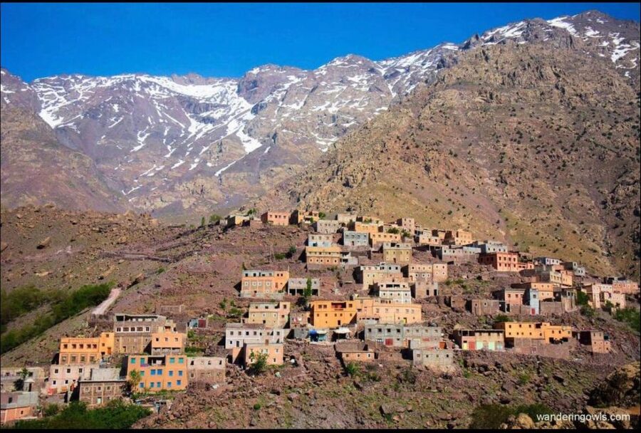 Agafay Desert & Atlas Mountain & Camel Ride Day Trip & Lunch - Value and Price: Why $24 Can Make Sense on an Atlas Day