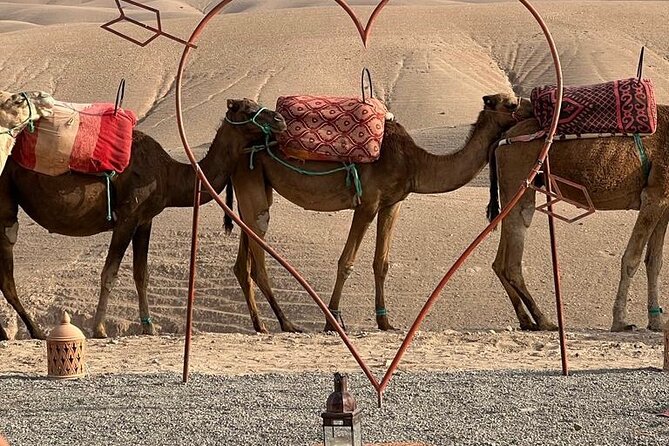 Agafay Desert : Dinner, show, Sunset & Access to the pool - From Marrakech Pickup to Agafay Sunset Views