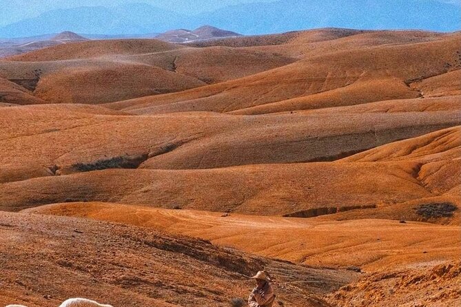 Agafay Desert: Dinner + Show with Quad Bike & Sunset Camel Ride - Sunset camel ride: the calm counterbalance
