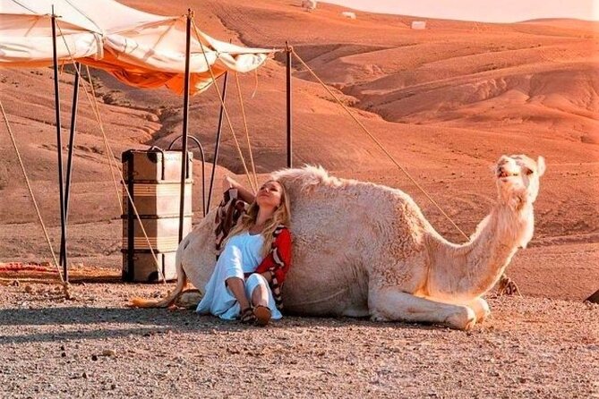 Agafay Desert: Dinner + Show with Quad Bike & Sunset Camel Ride - One hour quad biking: thrill level, safety, and getting dust ready