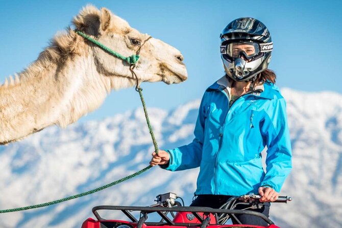 Agafay Desert Package, Quad Bike, Camel Ride and Dinner Show - Key things to know before you go