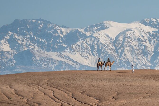 Agafay Desert Package, Quad Bike, Camel Ride and Dinner Show - The In-Between Details: Stops, Timing, and Group Size