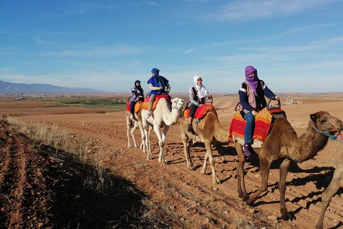 Agafay Desert Package: Quad, Camel Rides & Dinner Show or Lunch - Who Should Book This Agafay Package?