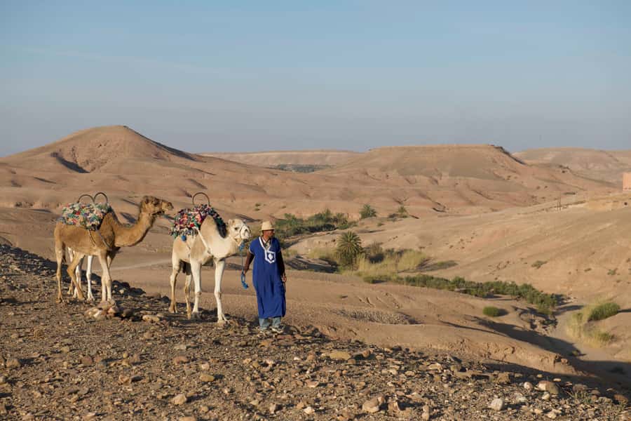 Agafay Desert: Quad Bike and Camel Ride Adventure Tour - Quad Biking Across Agafay: Real Coaching and Rider Options
