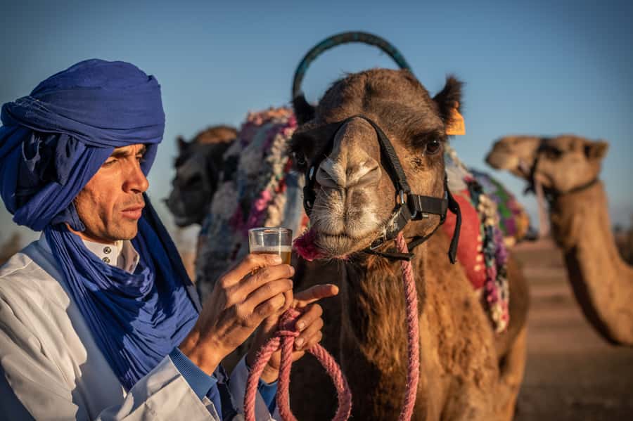 Agafay Desert: Quad Bike and Camel Ride Adventure Tour - What to Bring, What to Wear, and Who This Tour Fits