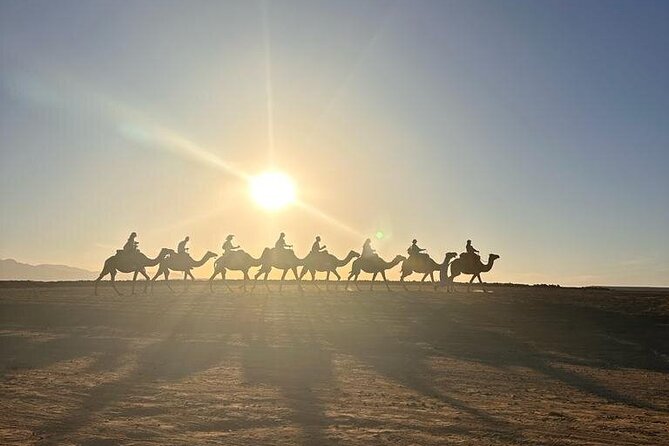 Agafay Desert: Quad Bike & Camel Ride & Magical Diner with Show - Camel ride and sunset at Agafay: a short classic moment