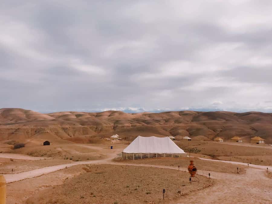 Agafay Desert Quad Biking - Quick hits: what makes Agafay quad biking worth your time