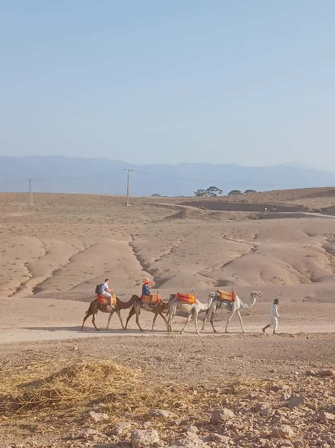 Agafay Desert: Quad Biking, Camel Ride, Lunch - Price and Value: Does $34 Add Up in Real Life?