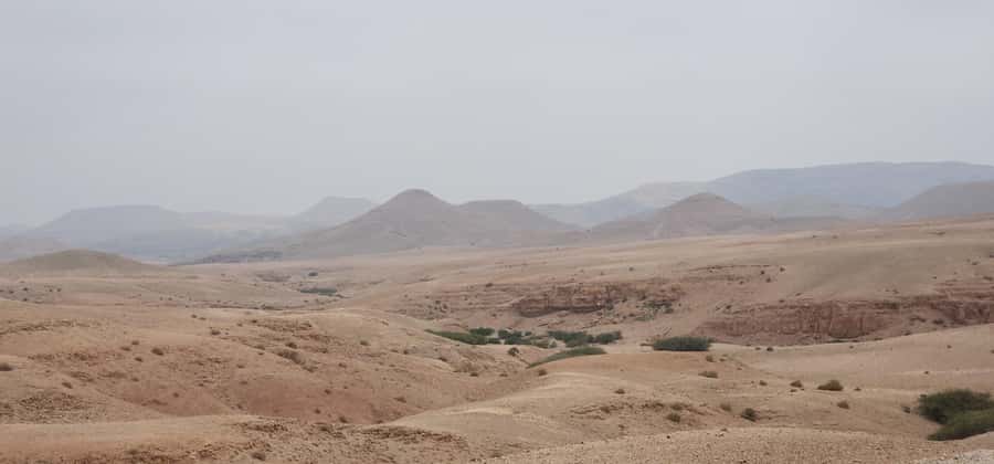 Agafay Desert: Quad Biking, Camel Ride, Lunch - Moroccan Lunch and Mint Tea: Where the Day Turns Relaxed