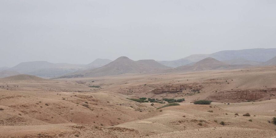 Agafay Desert: Quad Biking, Camel Ride, Lunch - Argan Oil Cooperative and the Tea Stop: Cultural Value With a Reality Check