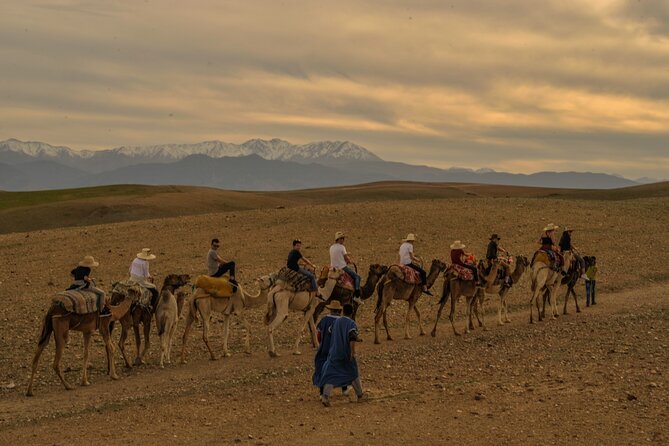 Agafay Desert - Quad camel and dinner show - Who This Tour Fits Best