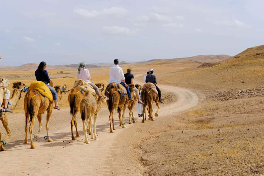 Agafay Desert: Quad, Camel Ride & Luxury Lunch with Pool - Desert pool and sunset free time, when cooling off becomes part of the experience