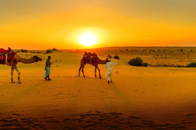 Agafay Desert Sunset, Camel Ride and Dinner from Marrakech - Agafay Desert at Sunset: What You Really Get From Marrakech