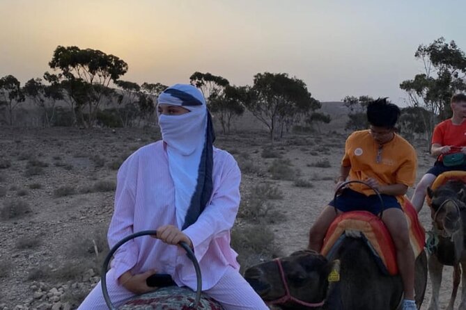 Agafay : Luxury Dinner in the Desert with Camels - Dinner in the desert stars: what the meal and show really feel like