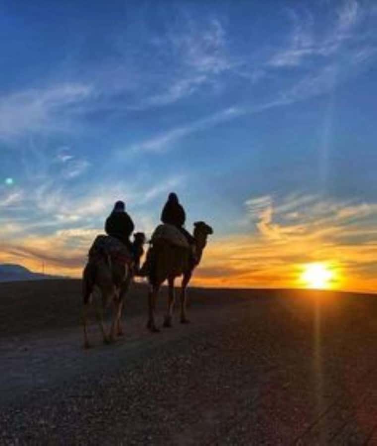 Agafay: Quad, Camel Ride & Dinner Show from Marrakech - Key things to know before you go