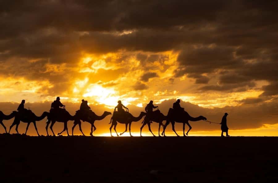 Agafay: Quad, Camel Ride & Dinner Show from Marrakech - Value for $22: why the math often works here