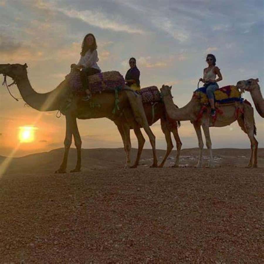 Agafay: Quad, Camel Ride & Dinner Show from Marrakech - Should you book? My honest take