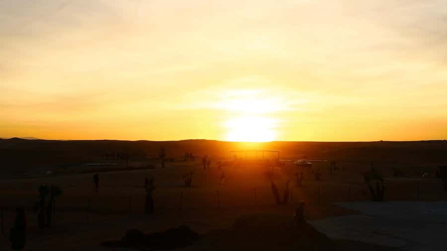 Agafay: Quad, Camel Ride & Dinner Show from Marrakech - Argan oil cooperative stop: Morocco’s liquid gold, explained in real life