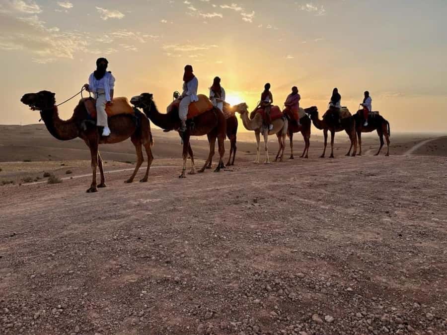 Agafay tour Quade Bike, Sunset and Romantic Dinner Show - Key highlights worth waking up for (or in this case, leaving your hotel at 3:30 PM)
