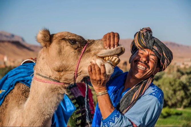 Ait ben haddou and Ouarzazate day trip - Over the High Pass: Tizi nTichka Views and Photo Stops at 2,260 Meters