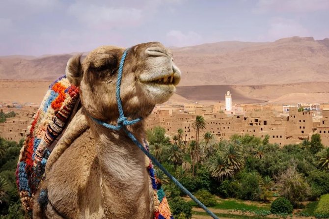Ait ben haddou and Ouarzazate day trip - The Real Trade-Offs: Long Drive Time, Group Pace, and Food Choices