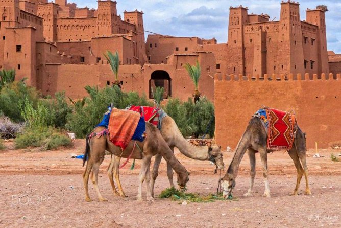 Ait ben haddou and Ouarzazate day trip - Aït Benhaddou, the Kasbah You See in Movies and Feel in Your Feet