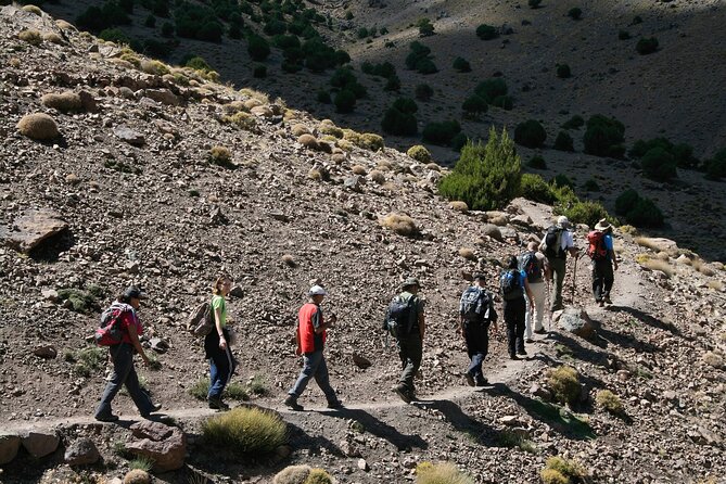 All in One - Special Day With the Berbers - Atlas Mountains - Ouirgane Dam Valley: walking time in a lush pocket of the Atlas