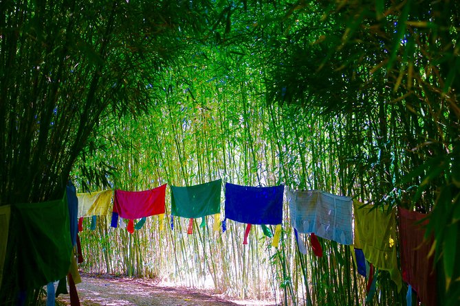 Anima Garden Admission Ticket - Practical tips: avoiding shuttle confusion and finding your flow