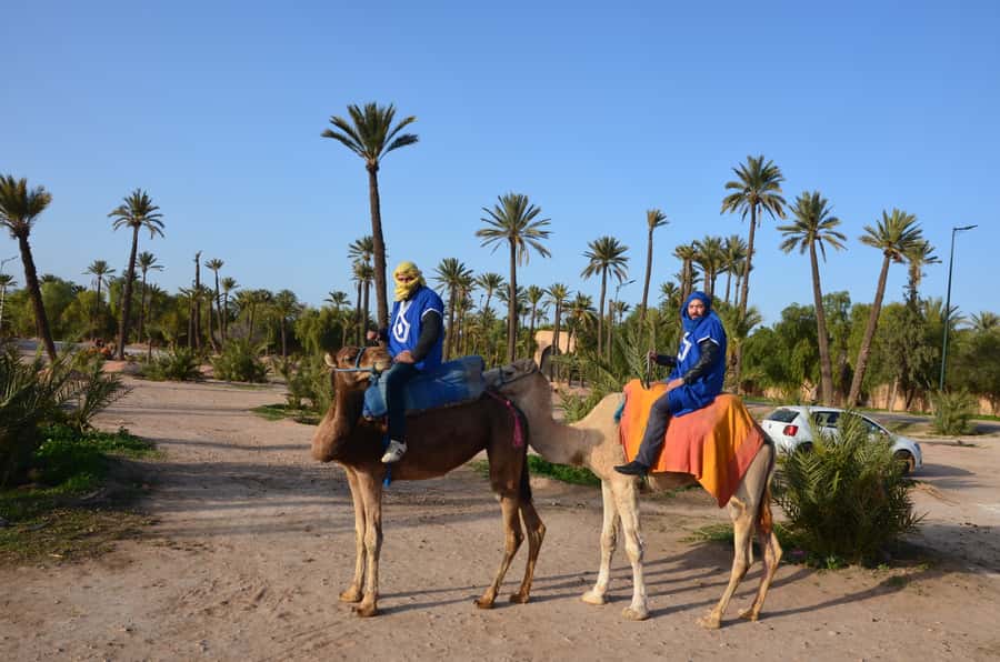 Around Marrakech: Camel Ride in Palm Groves including Tea - Price and value: why $47 feels fair for what you get
