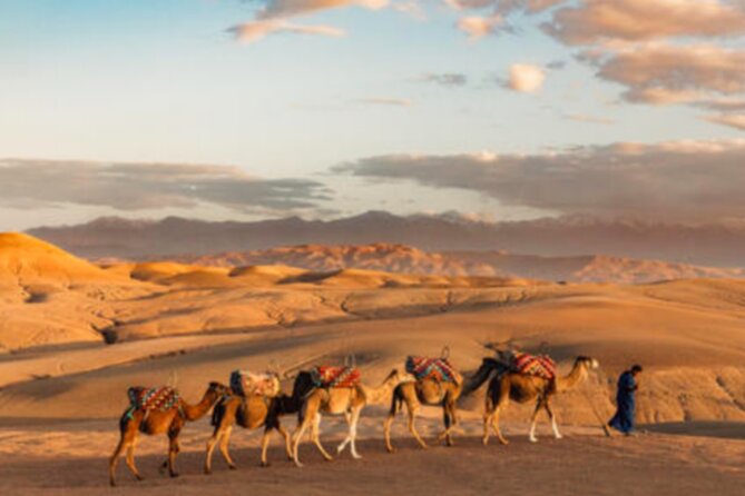 Atlas Mountains, 3 Valleys & Agafay Desert from Marrakech-DayTour - Camel Ride Through the Gorge: Fun, Short, and Usually Not a Full Desert Trek