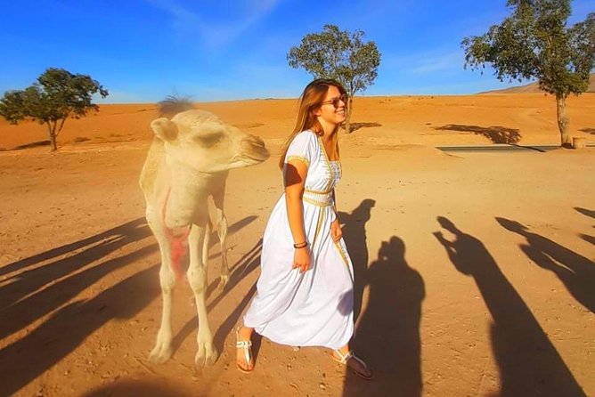 Atlas Mountains, 3 Valleys & Agafay Desert from Marrakech-DayTour - Lunch Cost: What’s Included, What’s Extra, and How to Budget