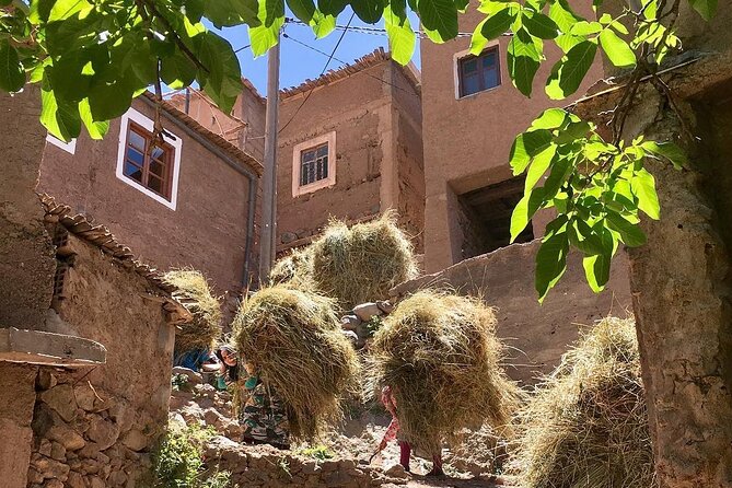 Atlas mountains 3valleys waterfall & camel ride - Stop 1 in Tahnaout: argan oil and the first big views