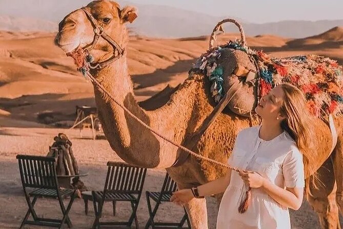 Atlas Mountains and Berber villages & Waterfalls with Camel ride - The Atlas waterfall walk, what to expect and how to prepare
