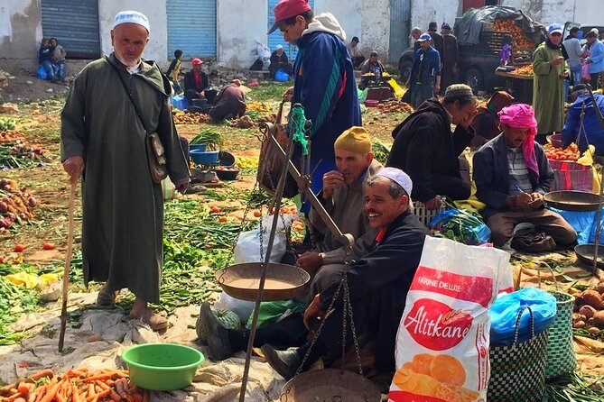 Atlas Mountains and Berber villages & Waterfalls with Camel ride - Camel ride time, and the practical reality