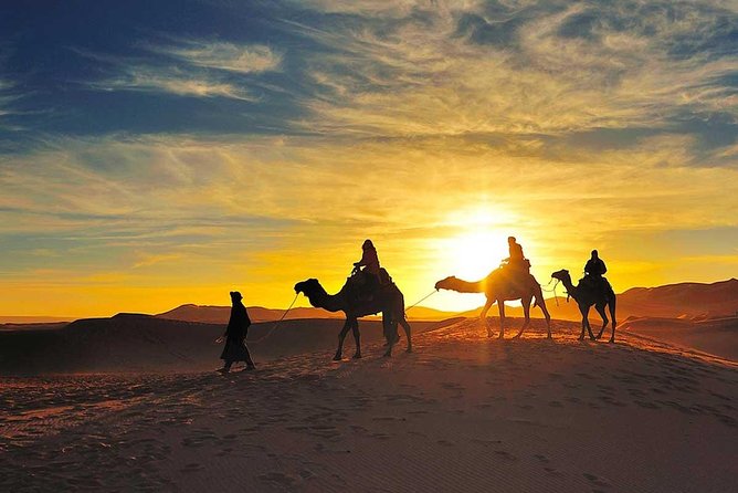 Atlas Mountains and Berber villages & Waterfalls with Camel ride - Food, tea, and breaks between stops