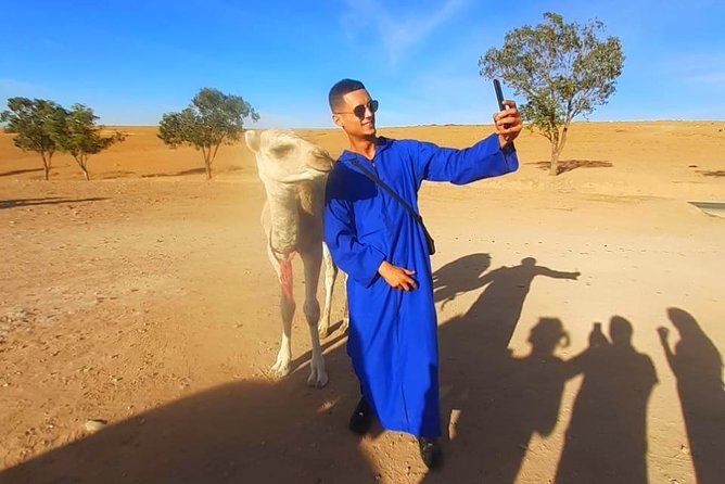 Atlas Mountains and Three Valleys & Waterfalls with Camel ride Guided Day Trip - Moulay Brahim near Asni Valley, a calm end to a busy day
