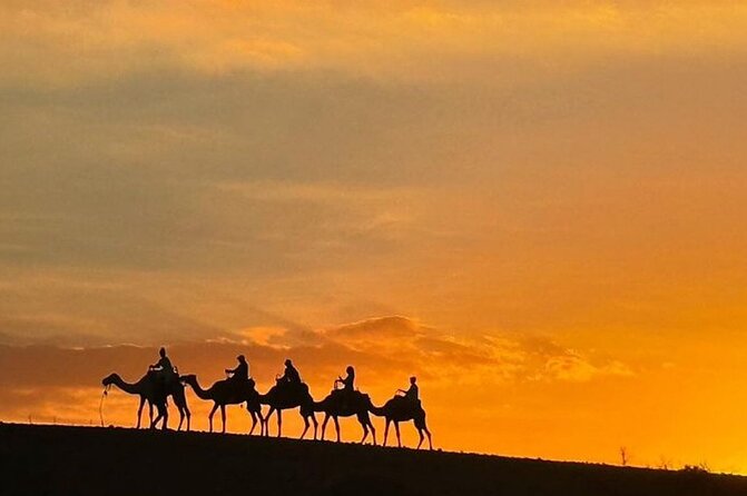 Atlas Mountains, Berber Villages and Three Valleys all inclusive - Ourika, Asni, and Imlil Valleys: Three Stops That Add Up