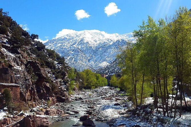Atlas Mountains & Berber villages: optional Camel ride/Waterfall - Argan oil cooperative: Women-led production with a sales edge