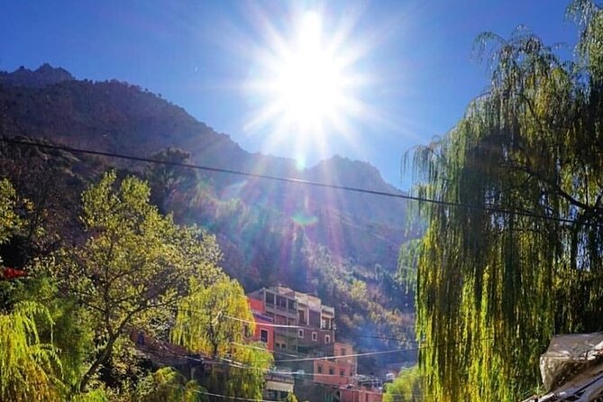 Atlas Mountains & Berber villages: optional Camel ride/Waterfall - Transportation, timing, and how guides can make or break the day