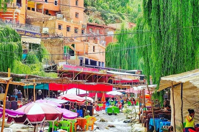 Atlas Mountains & Berber villages: optional Camel ride/Waterfall - Should you book Atlas Mountains and Berber villages?
