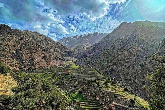 Atlas Mountains & Berber Villages & Waterfalls & Camel Ride Trip - Argan Oil Cooperative Stop: What You Learn and What You Smell