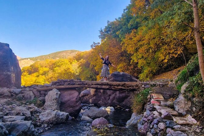 Atlas Mountains & Berber Villages & Waterfalls & Camel Ride Trip - Tea Stops, Market Town Energy, and Takerkouste Lake