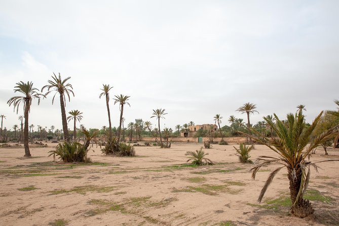 Atlas Mountains Hot Air Balloon Ride from Marrakech with Berber Breakfast and Desert Camel Experience - Weather realities, and what to do if sunrise timing matters to you