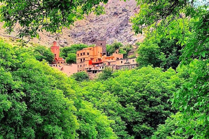 Atlas Mountains & Ourika Valley Private Day Trip From Marrakech - The Berber Family Stop: Tea, Cake, and Lunch With Real Flavor